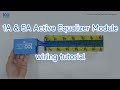 100Balance BMS Battery 1A & 5A Active Equalizer Module wiring tutorial