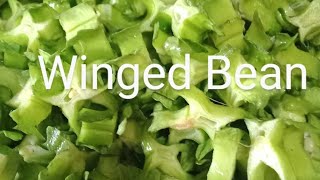 Shie Vlog Snp is live! Slicing Winged Bean #Asmr#satisfying#live#trending#asmrsounds