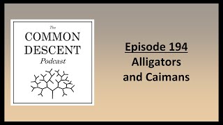 Episode 194 - Alligators and Caimans