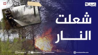 نشوب حريق في غابة \