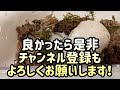 シュレーゲルアオガエル産卵したよ！