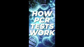 核酸检测后会怎样How PCR test work