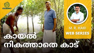 Forest Instead of Landfill | കായല്‍ നികത്താതെ കാട്‌