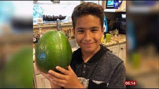 5.6 pound avocado wins Guinness World Records title (fun story) (USA) BBC News 12th October 2019