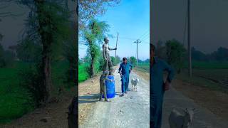 Sataichu bakri chor#trending#usa#india#ytshorts#mrbeast#viralvideo