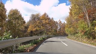 長野県道182号 菅平高原線 車載動画 [2018-11]