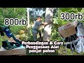 Alat Panjat pohon - Segala Macam Pohon bisa pakai alat ini dan Harga Sangat Terjangkau