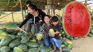 Street fruit eating - We drive a long the road & see a lots watermelon - Buy & eat sweet watermelon