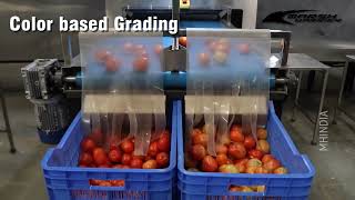 Multiple Fruits & Vegetables Grading Machine | AI-Powered | Image Processing Technology