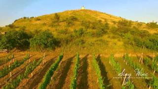 SING WINE - rodinné vinařství z Velkých Bílovic