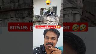 🤣🤣🤣,#டேய் டேய் ஏன்டா இப்படி🤣, #எங்க முனியம்மாவ காணாம்??🤣🤣, #trendingshorts, #tamilfunny, #dogcomedy