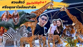 สวนสัตว์ ศรีอยุธยาไลอ้อนปาร์ค มีสัตว์อะไรให้ดูบ้าง Sriayuthaya Lion Park ที่เที่ยวใกล้กรุงเทพ