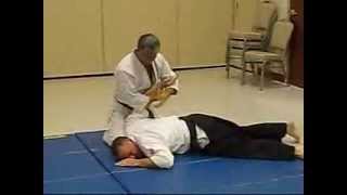 Aikido - Hanmi Handachi Munetsuki Kotegaeshi (side view)