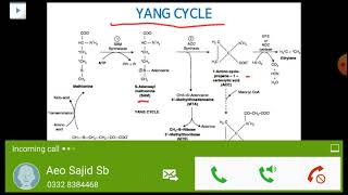 Biosynthesis of ethylene lecture 02