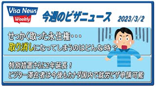 「せっかく取った永住権、取り消しになるのはどんな時？」「ビジターから就労ビザ国内申請の特別措置延長」　2023/3/2