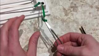 Feline Neuter Instrument Tie (slow motion) Example D