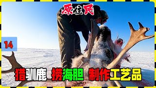 14原住民：猎人狩猎驼鹿，赶海捞海胆，制作工艺品