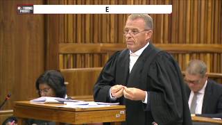 Advocate Gerrie Nel resigns as state prosecutor