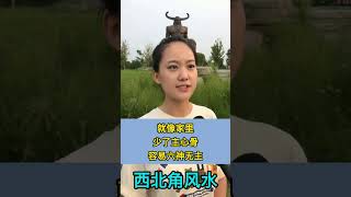 《酒》过三巡，变成《疯子》