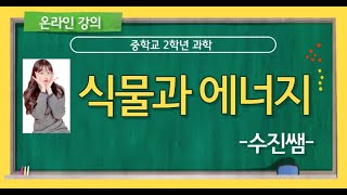 중학교 2학년 4단원 식물과 에너지 中 광합성 산물의 이동과 저장