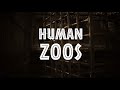 human zoos trailer