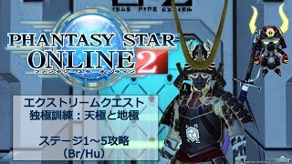 【PSO2】 独極訓練：天極と地極 ステージ1～5 （Br/Hu）