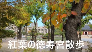 [ 韓国Vlog ]石垣道の次は徳寿宮散歩♪素晴らしい紅葉でした