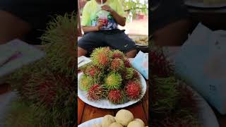 บุฟเฟ่ต์เงาะ ลองกอง ที่สวนทุเรียนภูเขาไฟทรัพย์สุวรรณ อำเภอกันทรลักษ์จังหวัดศรีสะเกษ