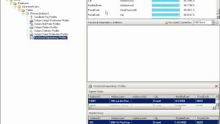 Data Profiling Task - SQL Server 2008