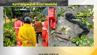 ശക്തമായ കാറ്റിലും മഴയിലും ആലപ്പുഴയിൽ മരം കടപുഴകി വീണ് രണ്ട് യാത്രക്കാർക്ക് പരുക്ക്