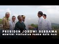 Presiden Jokowi Bersama Menteri Pertanian Panen Raya Padi