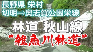 林道秋山線（雑魚川林道） 切明 ⇒ 鳥甲山登山口（ムジナ平口） ⇒ r502奥志賀公園栄線 交点 #92