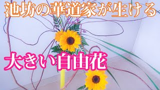 【生け花紹介】池坊の華道家が大きめの自由花を生ける　アカヅル/ひまわり/ヒメガマ/レザーファン/ブルーファンタジア〈插花演示〉［Ikebana creates a new space.]