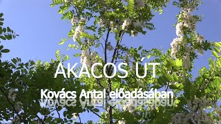 AKÁCOS ÚT