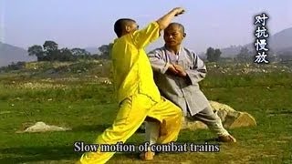 Shaolin Kung Fu: big Hong Quan combat applications