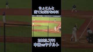 サイスニード あわやホームランの当たりを打つ #プロ野球 #shorts #東京ヤクルトスワローズ