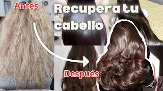 Como Recuperar tu Cabello DAÑADO *tips* y tenerlo sedoso,brilloso y sin frizz*cronograma capilar*