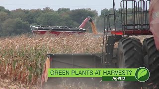 Green Plants At Harvest #1021 (Air Date 10-29-17)