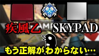 【4600dmg】マウスパッド沼きた。疾風乙とSkyPADを行き来してます。【APEX LEGENDS】