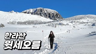 폭설 후 한라산, 알프스 빰치는 순백의 세상 | 한라산을 겨울에 꼭 가야하는 이유(with 헬로트레킹)