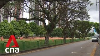 Site in Alexandra to be redeveloped into public housing estate with 1,500 HDB flats