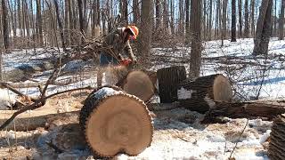 Husqvarna 460 Rancher Modded Bucking firewood