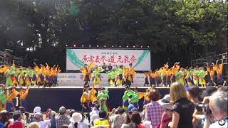 【４K公式】東京花火「あそばせ」原宿表参道元氣祭2019‐原宿口ステージ