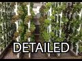 How to , Detailed Vertical Hydroponics