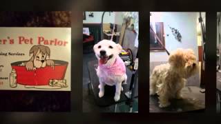 Amber's Pet Parlor - (903) 705-3810