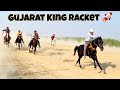 गुजारात किंग रॉकेट ने मारी कच्छ मे बाज़ी 🐎🚀 | Gujarat King Rocket | HORSE RACING | Banni Pashu Mela