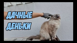 ВЛОГ: Дачные Дни