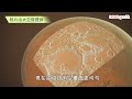 【看民生】 字幕版 6月29日：太空館天象廳完成翻新 周四重開 來源：香港政府新聞網