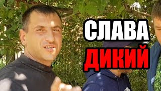 Слава Дикий \