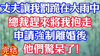 丈夫讓我罰跪在大雨中，總裁趕來將我抱走，申請強制離婚後，他們驚呆了！